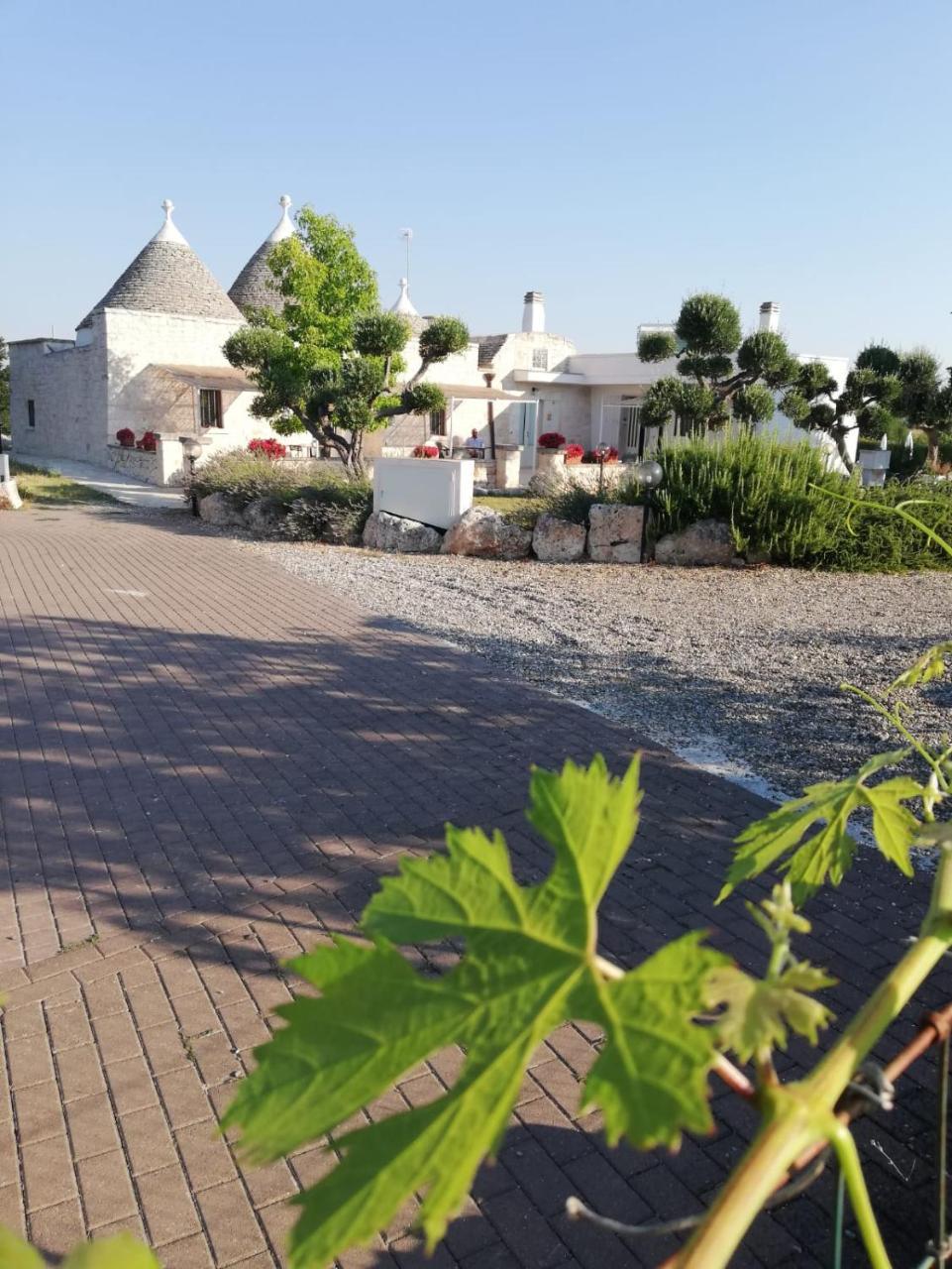 Antiche Dimore Terrarossa Alberobello Dış mekan fotoğraf